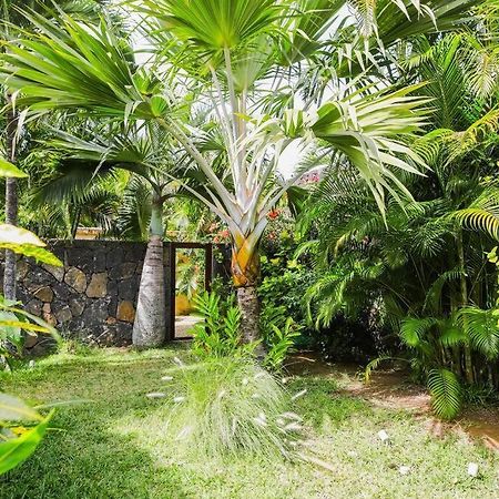 Villa Tropicale Balinaise Intimiste Grand Baie Esterno foto